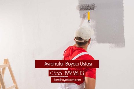 Ayrancılar Boyacı Ustası